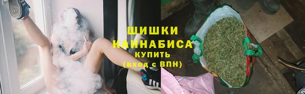 spice Инсар