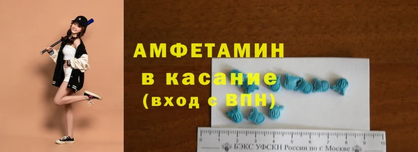 мяу мяу мука Аркадак