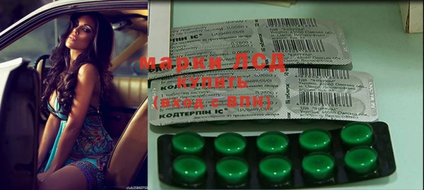 прущие грибы Инта