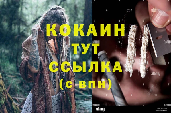 мяу мяу мука Аркадак