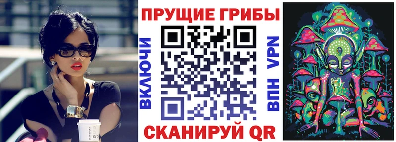 Псилоцибиновые грибы прущие грибы  Бавлы 